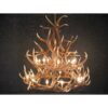 Elk Antler Chandelier 18