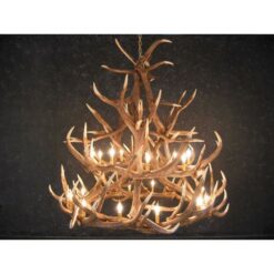 Elk Antler Chandelier 18