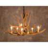 Antler Chandelier