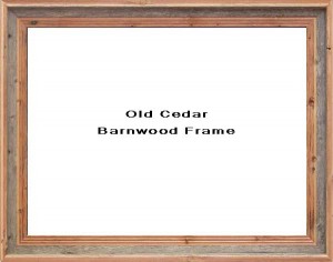Old Cedar Barnwood Frame