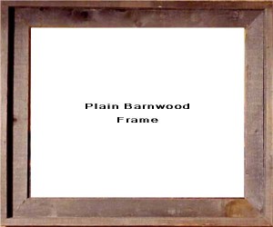 Plain Barnwood Frame