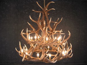 Elk 18 Antler Chandelier