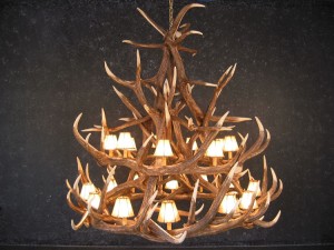 Elk 18 Antler Chandelier