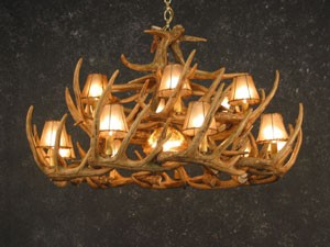 Whitetail 30 Antler Chandelier - Angled Bottom View
