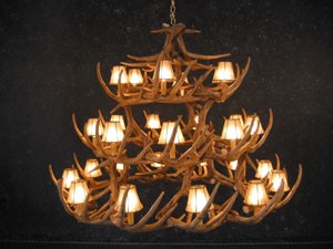 Whitetail 42 Antler Chandelier with Rawhide Shades