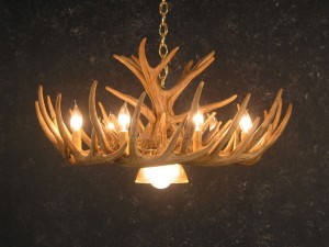 Whitetail 12 Antler Cascade Chandelier with Downlight
