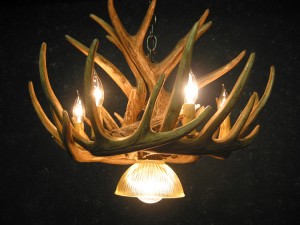 Whitetail Antler Chandelier Cascade with Downlight