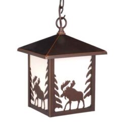 Outdoor Pendant Lights