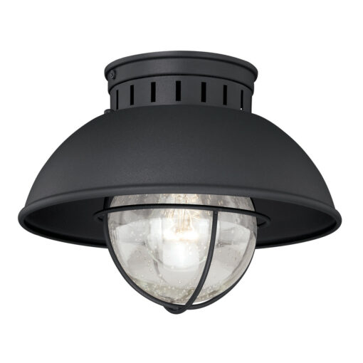 Harwich Black Coastal Barn Dome Outdoor Flush Mount Ceiling Light Clear Glass