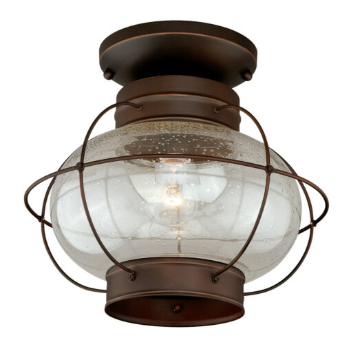 Chatham Bronze Coastal Globe Outdoor Flush Mount Ceiling Light Clear Glass